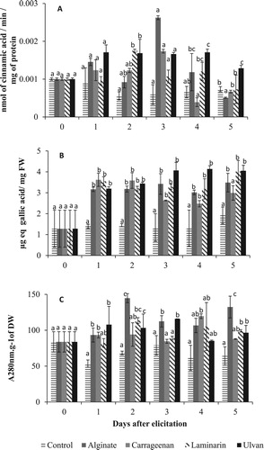 Figure 1. Kinetics of induction of phenylalanine ammonialyase activity (A), total polyphenol content (B) and lignin content (C) in the stem of the Picholine Marocaine’s twigs in response to treatment by alginate, carrageenan, laminarin and ulvan at 2 g/L. Each value is the mean of six repetitions ± standard deviation. At the same day and for each elicitor treatment, the values followed by a common letter do not differ significantly at P < 0.05 according to Tukey test.