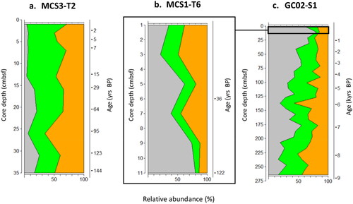 Figure 6. Depth profiles of autotroph (green) v heterotroph (orange) dinoflagellate cysts from MCS3-T2 (inshore), MCS1-T6 (offshore surface) and GC02-S1 (offshore deep) from waters surrounding Maria Island, southeast Australia. Grey represents contribution of prolific cyst producer Protoceratium reticulatum to the autotroph relative abundance.