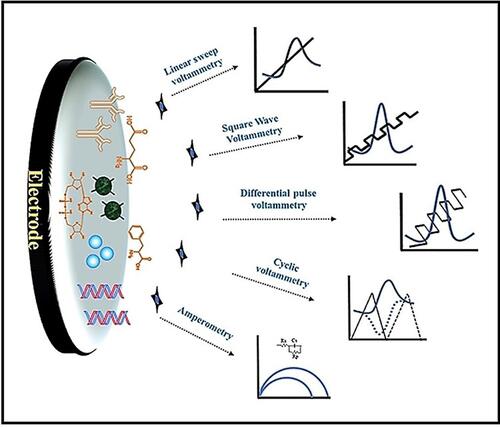 Figure 1 Electrochemical technique for detection of tryptophan and melatonin. Schematic representation of an electrochemical sensor, and the transduction of these interactions into measurable signals. The star (Display full size) represents the analyte (melatonin/tryptophan).The black line (Display full size) in the graph represents voltage, and the blue line (Display full size) indicates current.