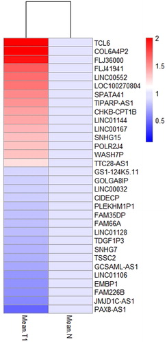 Figure 4. List of 32 differentially expressed lncRNAs between normal tissues and T1 stage tissues in LUSC. T1 represents the early stage group. The data are shown as mean values.