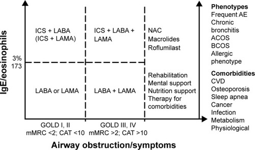 Figure 2 Chronic obstructive pulmonary disease treatment strategy, including lung function, symptoms, serum biomarkers, phenotypes, and comorbidities.