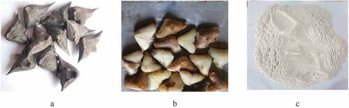 Figure 1. Images of (a) water chestnuts, (b) water chestnut kernels, and (c) water chestnut flour