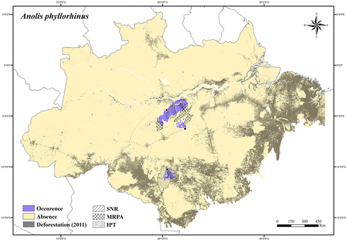 Figure 11. Occurrence area and records of Anolis phyllorhinus, showing the overlap with protected and deforested areas.