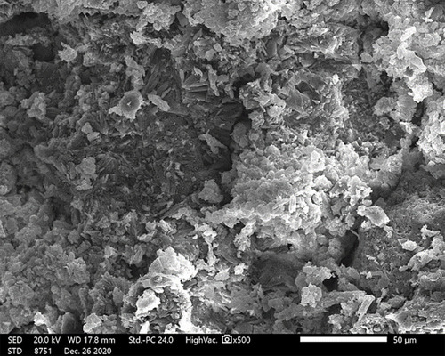 Figure 3 Scanning electron micrograph of the selected F2 ODT (Magnification X 500).