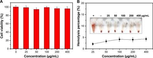 Figure 6 In vitro biocompatibility.Notes: (A) Cell viability of SW-13 cells after treatment with GHP-VEGF at different concentrations for 24 hours. (B) Hemolysis ratio of RBCs after 2 hours incubation with PTX-GHP-VEGF at different concentrations. The inset shows the photograph of RBCs exposed to deionized water, PBS, and PTX-GHP-VEGF solution with different concentrations followed by centrifugation.Abbreviations: PTX, paclitaxel; VEGF, vascular endothelial growth factor; PBS, phosphate-buffered saline; RBCs, red blood cells; GHP, GO-HSA-PEG.