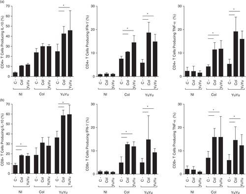 Fig. 11.  Intracellular cytokine production by T lymphocytes is similar after stimulation with EVs from Colombiana or YuYu strains. (a) CD4+ production of intracytoplasmic cytokines (IL-10 with IFN-γ and TNF-α). (b) CD8+ production of intracytoplasmic cytokines (IL-10 with IFN-γ and TNF-α). Immunophenotypic staining was performed as described in the Material and Methods section. Bars express the mean value±SD of 2 separate studies (*p<0.05).