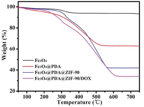 Figure 3. TGA of Fe3O4, Fe3O4@PDA, Fe3O4@PDA@ZIF-90, and Fe3O4@PDA@ZIF-90/DOX nanoparticles.