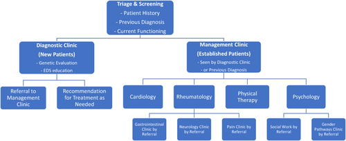 Figure 2 Multidisciplinary EDS clinic flow: current version.