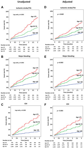 Figure 3 Cumulative event rate for ischemic stroke/transient ischemic attack (TIA), major bleeding, intracerebral hemorrhage (ICH), and death over time compared between patients aged <65, 65–74, and ≥75 years.  A-C: unadjusted analysis. D-F: analysis adjusted for confounders.