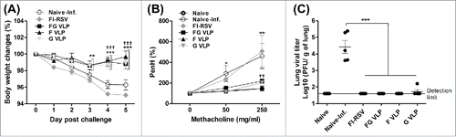 Figure 2. RSV VLP vaccination prevents weight loss, AHR and clears lung viral loads. (A) Body weight changes after RSV infection. Cotton rats were challenged i.n. with RSV A2 (1 × 106 PFU) on day 56. ** p < 0.01, *** p<0.001; compared with Naïve-Inf., ††† p < 0.001; compared with FI-RSV. (B) Airway hyper responsiveness (AHR). At 4 d post RSV challenge, AHR to increasing concentrations of methacholine (0, 50, 250 mg/ml) was assessed by whole body plethysmography and Penh values were calculated. ** p < 0.01, * p < 0.05; compared with Naïve, †† p < 0.01; compared with Naïve-Inf. (C) RSV titers. Lung viral titers were determined from individual cotton rat with lung lysate at 5 d after RSV challenge. *** p < 0.001; compared with indicated groups. Statistical significance was performed by 2-way ANOVA with Bonferroni post-test to compare replicate mean values in Graph Pad Prism.