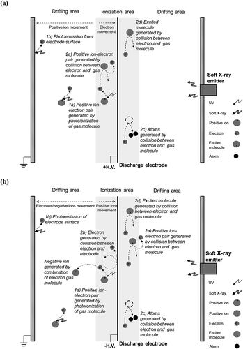 Figure 3. Schematic of ion and electron generation and movement in ESP coupled with soft X-rays (the serial numbers correspond to the steps discussed in the text). (a) Positive-voltage case; (b) negative-voltage case.