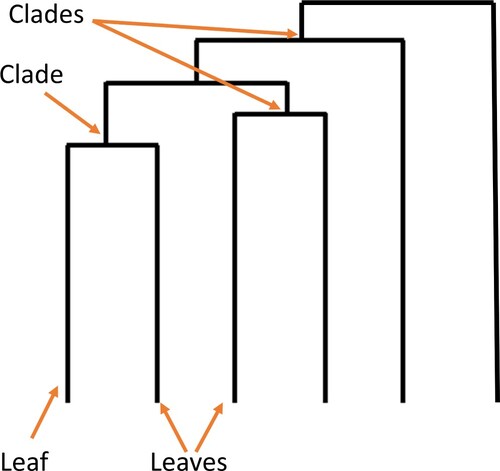 Figure 3. Illustration of a dendrogram depicting the hierarchy of leaves and clades.