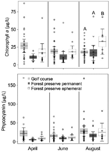 Figure 2. Boxplots representing chlorophyll a (µg/L) and phycocyanin (µg/L) concentrations within golf course (25), forest preserve permanent (15), and forest preserve ephemeral (15) ponds in April, June, and August 2017. Different upper-case letters indicate statistical significance (p ≤ 0.05) within months using Tukey HSD test. Line represents mean, boxes represent standard error, and whiskers represent 95% confidence intervals. Open circles are data values.