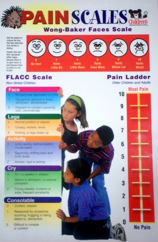 Figure 1 Pain Scales.