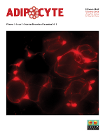 Cover image for Adipocyte, Volume 1, Issue 4, 2012