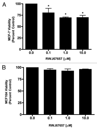 Figure 5. Pharmacological inhibition of p38α selectively targets breast cancer cell viability. (A) MCF-7 and (B) MCF-10A cells were treated with RWJ67657 for 24 h. Cell viability was determined using the MTT assay as described in the Materials and Methods section. Data are presented as percent viability compared with vehicle treated control cells. Mean values ± SEM of three different experiments in triplicate are reported (***p < 0.001, **p < 0.01, *p < 0.05).