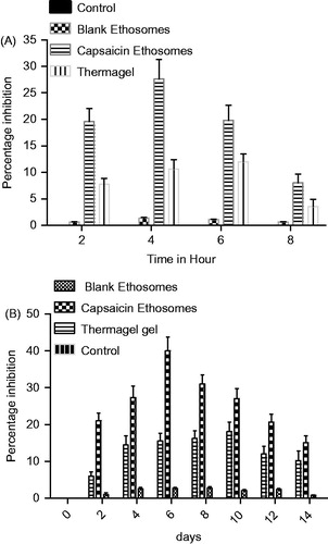 Figure 6. (A) Percentage inhibition of carrageenan-induced edema by various formulations; inhibition ability of ethosomes was higher than Thermagel in all time points (p < 0.05). (B) Percentage inhibition of formaldehyde-induced arthritis by various formulations; inhibition ability of ethosomes was higher than other formulation. Thermagel also shows inhibitor effect but its response was late. The inhibitory effect of capsaicin loaded ethosomes was significant than Thermagel (p < 0.05).