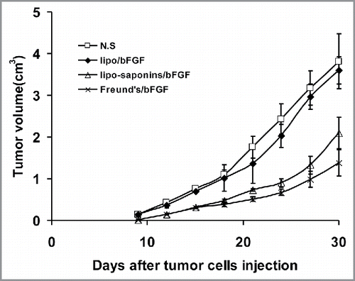 Figure 6. Induction of adoptive immunotherapy. Activated T lymphocytes(2 × 106 cells) were transferred from the immunized mice to recipient mice by intravenous injection. After 24h, the recipient mice were subcutaneously inoculated with B16 cells(1 × 106). Visible inhibiting actions on tumor growth were exhibited in lipo-saponins/bFGF and Freund's/bFGF mice(compared with N.S and lipo/bFGF mice, P<0.01).(n = 5).