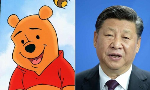 Figure 11. An image juxtaposing Winnie the Pooh and Xi Jinping (Haas Citation2018).