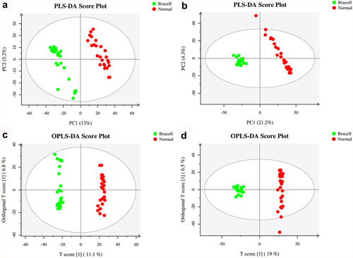 Figure 3. Score plots of partial least squares discriminant analysis (PLS-DA) in CSF samples of normal controls (red circles) and Brucella cases (green square) in the positive (a) and negative (b) datasets; Score scatter plots of positive (c) and negative (d) datasets in OPLS-DA model; green square indicated Brucella cases, while red circles indicated normal group. Axes represented orthogonal component and predictive component of the models.
