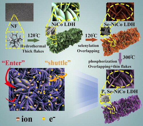 Figure 1. Preparation process of P, Se-NiCo LDH and the rapid transfer of electrons and ions as well as rapid kinetics for charge separation.