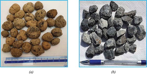 Figure 1. Views of aggregate used in experimental program: (a) LWA (b) NWA.