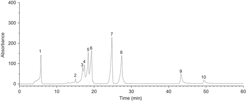 FIGURE 1 Chromatogram of the polyphenol standard mixture, at 280 nm (see Table 2 for peak identification).