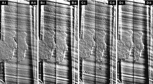 Figure 4. Virtual comparison microscopy of toolmarks reproduced by (A) AccuTrans® AB, (B) Isomark™ T-1 grey, (C) NuCASTtool, and (D) Silmark CART casting materials. The casts labelled (-i) were control casts, while those labeled (-ii) were casts subjected to the 90 °C–1 h protocol.