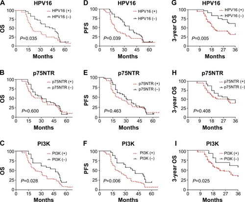Figure 2 Survival curves of 3-year OS, OS, and PFS of ESCC patients according to HPV16, p75NTR, and PI3K expression.