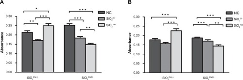 Figure 3 The effect on primary lymphocyte proliferation of SiO2 NPs fed to mice.Notes: C57BL/6 mice were treated with varying sizes (20 nm, 100 nm) and charges (SiO2EN[R]; negative, SiO2EN[−]) of 750 mg/kg colloidal SiO2 NPs for 14 days. At the end of the treatment period, single-cell suspensions were made from spleens of mice, and the proliferation of (A) B-cells and (B) T-cells were assessed. Data are presented as the mean ± standard deviation; n=5. *P<0.05, **P<0.01, and ***P<0.001 indicate significant differences when tested with ANOVA. Tukey’s test was used for post hoc tests.Abbreviations: NC, normal control; SiO2, silicon dioxide; SiO2EN(−), negatively charged silicon dioxide; SiO2EN(R), silicon dioxide modified with L-arginine; NP, nanoparticle; n, number; ANOVA, analysis of variance.