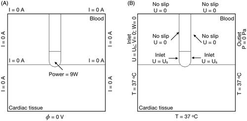 Figure 2. Electrical (A) and thermal and blood flow (B) boundary conditions.
