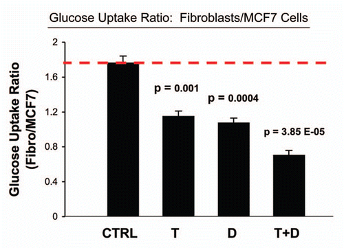 Figure 7 Tamoxifen plus Dasatinib normalizes the glucose uptake ratio in co-cultures (Fibroblasts/MCF7 Cells). As in Figure 6, except that glucose uptake was measured in both co-cultured MCF7 cells and fibroblasts. Note that Tamoxifen plus Dasatinib (T + D) has a clear synergistic effect, significantly normalizing the glucose uptake ratio (Fibro/MCF7) from nearly 2, to less than 1.
