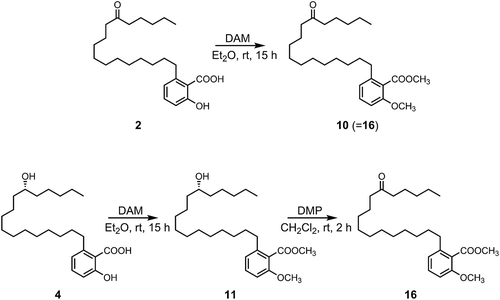 Scheme 1. Chemical derivatization of 2 and 4.