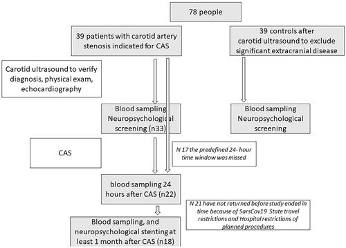 Figure 1. Study flowchart. Neuropsychological tests’ results are not discussed here. CAS: carotid stenting.