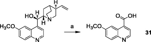 Scheme 4. Reagents and conditions: (a) H2SO4 (water sol. 10%), MnO2, CrO3, NH3 (15 N).