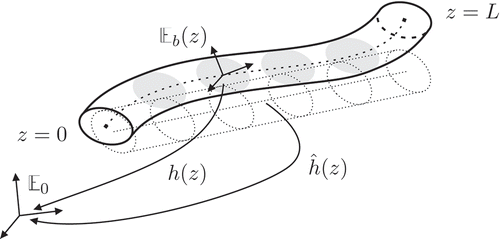 Figure 1. Representation of the non-linear flexible link in the deformed and unstressed configurations.