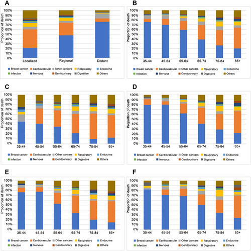 Figure 2 Proportion of each cause of death in different MBC patient subgroups. (A) Patients at different disease stages. (B) Patients by age group. (C and D) Localized (C) and regional (D) stage patients by age group. (E and F) Low-grade (E) and high-grade (F) patients by age group.