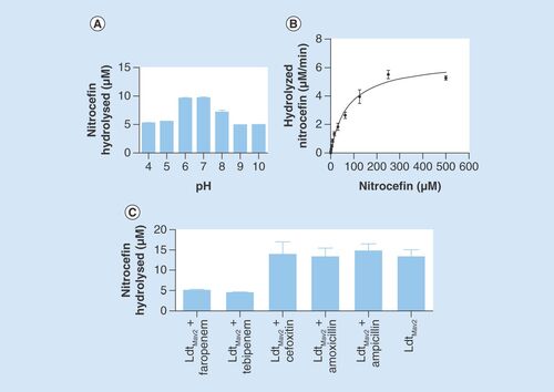 Figure 2. Biochemical characterization of LdtMav2. (A) pH profile of nitrocefin hydrolysis by LdtMav2. (B) Rate of nitrocefin hydrolysis by LdtMav2 at pH 6.5. (C) Assessment of nitrocefin hydrolysis by LdtMav2 following incubation with faropenem, tebipenem, cefoxitin, amoxicillin and ampicillin. The experiments were performed three-times and error bars represent standard error.