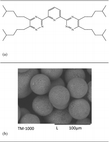 Figure 2. Chemical structure of isoHex-BTP (a) and SEM image of isoHex-BTP/SiO2-P (b).