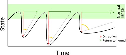 Figure 1. Hypothetical time series of an athlete’s state which drops after a given stressor (dashed red arrow), and returns (solid green arrow) within the normal range for the individual (highlighted in green). The relation between the disruption and the return as visualized by the return angle captures how resilient the athlete is at that moment. In this hypothetical example, a resilience loss would be an abnormal angle indicating that the individual does not return quickly enough.