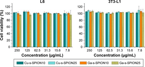 Figure 5 In vitro cytotoxicity tests for the metal-labeled SPIONs.Notes: L6 (left) or 3T3-L1 (right) cell lines were treated with Cu/Ga-labeled s-SPIONs at the concentration of up to 250 μg/mL for 72 h. No significant toxicity was observed for all samples. Error bars = standard errors, n=3.Abbreviations: SPIONs, superparamagnetic iron oxide nanoparticles; s-SPIONs, stabilized SPIONs; s-SPION10, s-SPIONs with average core diameter of 10 nm; s-SPION25, s-SPIONs with average core diameter of 25 nm.