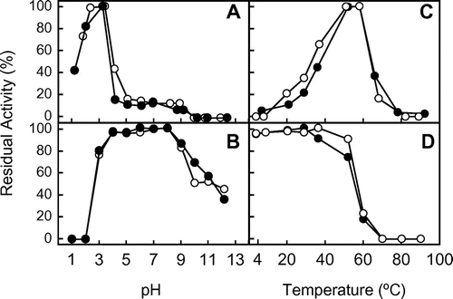 Fig. 2. Effect of pH and temperature on the chitinase activity and stability of the native and recombinant EaChiA.Notes: (A) The effect of pH on chitinase activity was examined after incubation at 37 °C for 15 min. (B) The effect of pH on stability was examined by measuring residual activity after incubation at various pH at 37 °C for 24 h. (C) The effect of temperature on chitinase activity was examined after incubation for 15 min. (D) The effect of temperature on stability was examined by measuring residual activity after incubation in 0.1 M sodium phosphate buffer, pH 7.0, for 1 h. Methods are described in Materials and Methods. Closed and open circles indicate native and recombinant EaChiA, respectively.