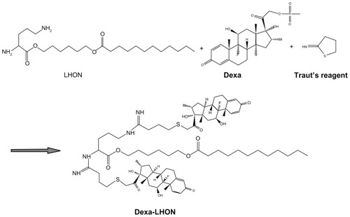 Figure 1 General reaction scheme for synthesis of Dexa-LHON.Abbreviations: Dexa, Dexamethasone; LHON, 6-lauroxyhexyl ornithinate.