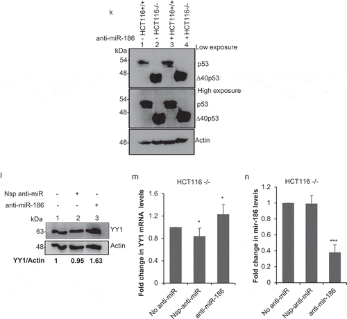 Figure 3b. continue