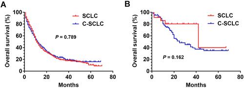 Figure 2 (A) Survival curves for patients with c-SCLC and SCLC after PSM (P = 0.789). (B) Survival curves for c-SCLC and SCLC patients after surgery (P = 0.162).