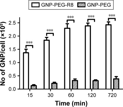 Figure 6 Quantitative analysis of the cellular internalization of GNP-PEG and GNP-PEG-R8 by ICP-MS. Data were quantified and the results are presented as the mean±SD (n=3 experiments). Compared with the GNP-PEG group, ***p<0.001.Abbreviations: GNP, gold nanoparticle; PEG, poly(ethylene glycol); R8, octaarginine; ICP-MS, inductively coupled plasma mass spectrometry.