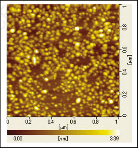 Figure 2 Atomic force microscopic image of oligomeric reduced huPrPC(23–231), recorded at room temperature.