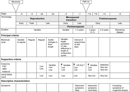 Figure 1 The stages of the menopausal transition in women.