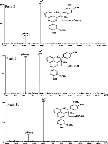 FIGURE 4 Positive ion mass spectra and molecular structure of the novel co-pigmentation compounds formed in the test sample and detected after 90 days of storage. Peak 8: cyanidin-3-glucosede-vinyguaiacol; Peak 9: pelargonidin-3-glucosede-vinylguaiacol; Peak 10: peonidin-3-glucosede-vinylguaiacol; Glu: glucoside.