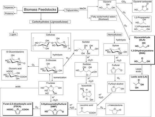 Figure 2. Representative processes for biomass conversion into chemicals and fuels.
